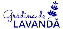 Gradina de lavanda